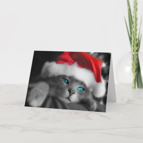 Christmas Kitten card