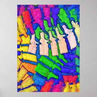 Colorful Spine Art Poster print