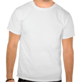 FREE LEVI - Political Prisoner shirt