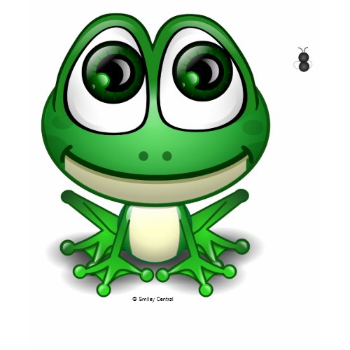 Froggie shirt