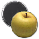 Gold Apple Watercolor - Magnet magnet