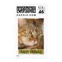 Happy Birthday Cat stamp
