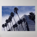 Palm Trees & Office Building print