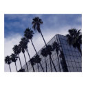 Palm Trees & Office Building print