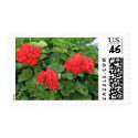 red flowers stamp