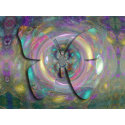 Swirling Butterfly Dreams print