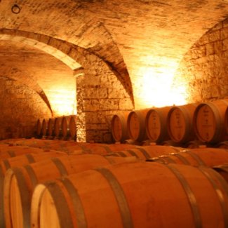 Wine Cellar Barrels magnet