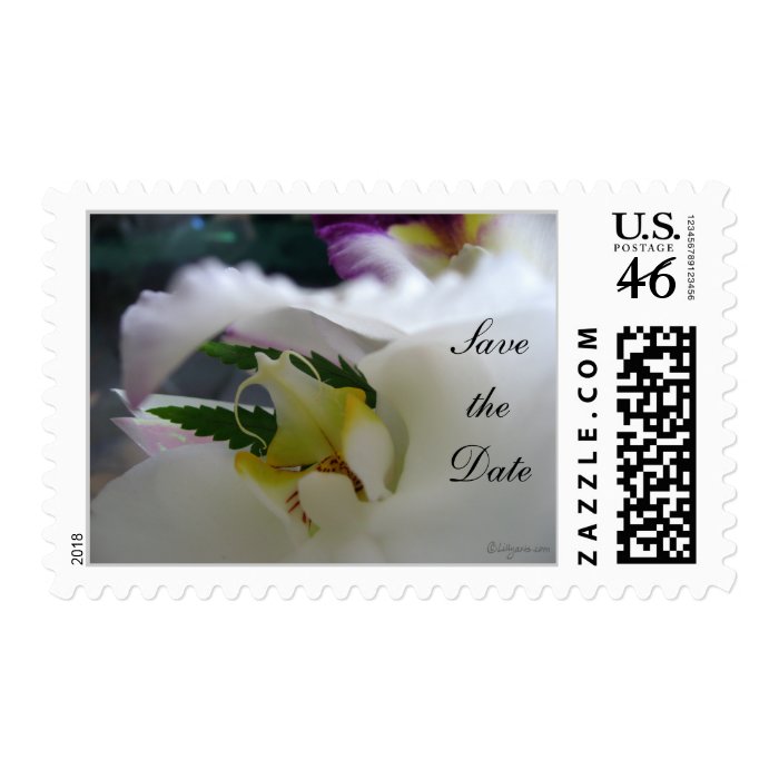 White Orchid Beauty Wedding Invitations Seals Round Stickers